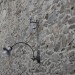 eggenburg_156