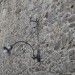 eggenburg_157