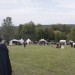 gablitz_041
