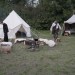 gablitz_056