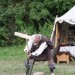 gablitz_061