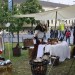 enzersdorf_14