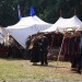 laxenburg10_014