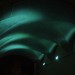 neugebaeude_tag2_035
