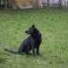 prater_094