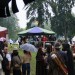 purgstall_029