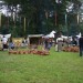 purgstall_041