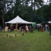 purgstall_042