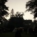 purgstall_048