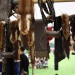 purgstall_061