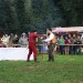 purgstall_082