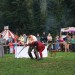 purgstall_089