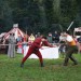 purgstall_100