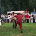 purgstall_105