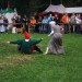 purgstall_120