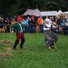 purgstall_125