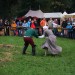 purgstall_127
