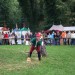 purgstall_135