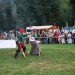 purgstall_142
