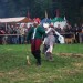 purgstall_149