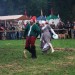 purgstall_150