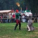 purgstall_153