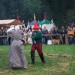 purgstall_154