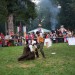 purgstall_188