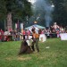 purgstall_189