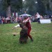 purgstall_214