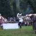 purgstall_216