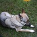 purgstall_235