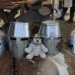 twinkel10_033