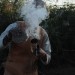 clout11_190