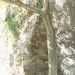 mini-IMG_5200