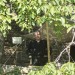 mini-IMG_5204