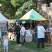 mini-IMG_5206
