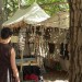 mini-IMG_5208