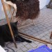 mini-IMG_5228
