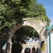 mini-IMG_5315