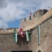 mini-IMG_5321