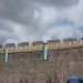 mini-IMG_5322