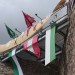 mini-IMG_5330