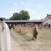 mini-IMG_5335