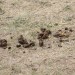 mini-IMG_5336