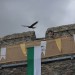 mini-IMG_5355