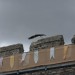 mini-IMG_5356