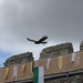 mini-IMG_5358