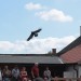mini-IMG_5364