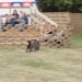mini-IMG_5392